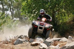 Mega-trends in the ATV Industry in 2008