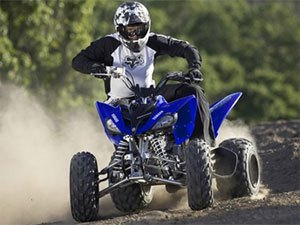 yamaha raptor 250 named a best buy, The Yamaha Raptor 250 has an MSRP of 3 999