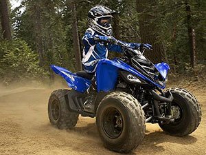 congress passes bill to set atv safety standards, Domestic manufacturers voluntarily follow standards that protect young riders