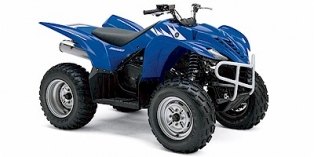 2006 Yamaha Wolverine® 350