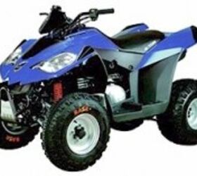 2008 E-TON Vector 250R