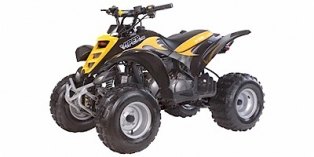 Eton Rover 90 2007 E-TON Rover Utility Kart | ATV.com