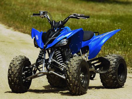Yamaha Raptor 250 Project – Overview
