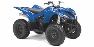 2008 Yamaha Wolverine® 350