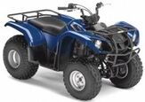 2008 Yamaha Grizzly 125 Automatic