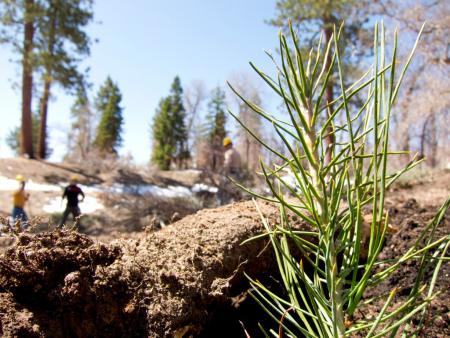 yamaha working to keep trails open