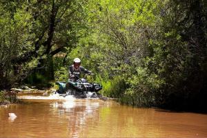 2009 yamaha grizzly 550 fi eps review, The Grizzly 550 has no trouble rolling through deep water