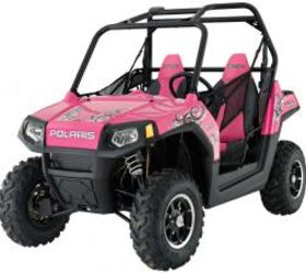 2009 polaris limited edition lineup unveiled