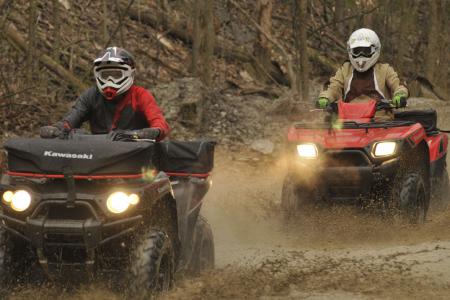 2009 kawasaki brute force 650 4x4i review, The Brute Force was at home playing in the mud