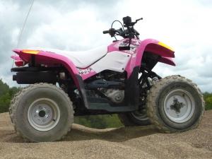 2009 polaris phoenix 200 review, The Polaris Phoenix is a great starter vehicle a new ATV rider