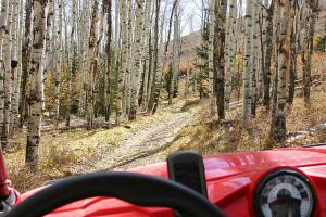 2010 polaris ranger rzr review, Thanks to its 50 inch width narrow trails are no problem for the RZR