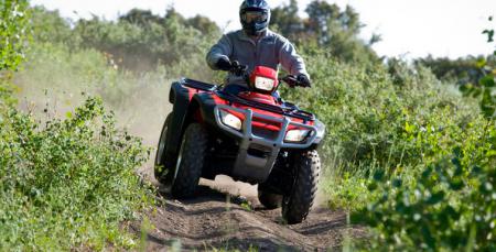 2010 honda fourtrax foreman rubicon review