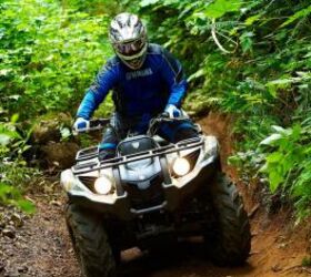 2011 yamaha grizzly 450 4x4 eps review, The Grizzly 450 was right at home on the heavily wooded trails of the Capitol State Forest