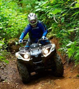 2011 yamaha grizzly 450 4x4 eps review, The Grizzly 450 was right at home on the heavily wooded trails of the Capitol State Forest