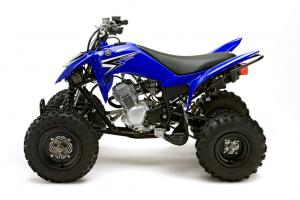 2011 yamaha raptor 125 vs 2011 pitster pro fxr 125r, 2011 Yamaha Raptor 125