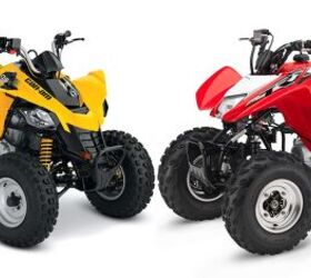 2018 Can-Am DS 250 vs. Honda TRX250X: By the Numbers
