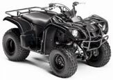 2009 Yamaha Grizzly 125 Automatic