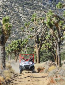 atv trails big bear to las vegas off road adventure, Big Bear to Las Vegas Kawasaki Teryx Adventure