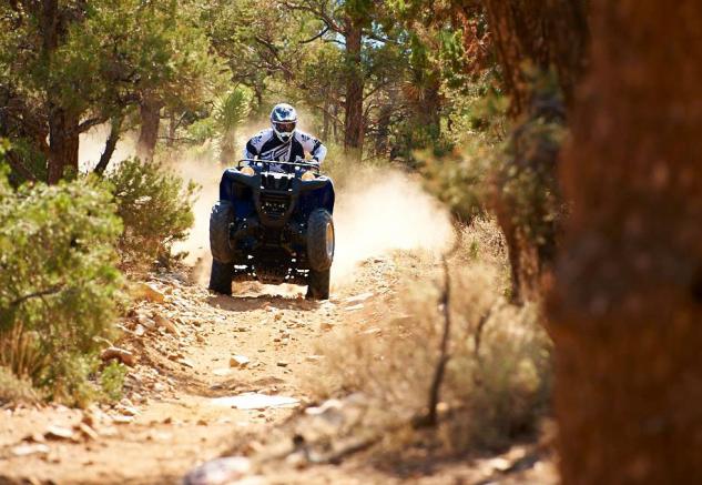 2014 yamaha grizzly 700 fi 44 eps review, 2014 Yamaha Grizzly 700 EPS Action