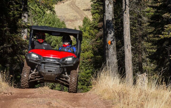 2016 honda pioneer 1000 5 deluxe review, 2016 Honda Pioneer 1000 Action Trees