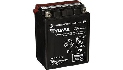 Best OEM Option Replacement: Yuasa Maintenance-Free Batteries