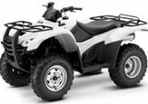 2009 Honda FourTrax Rancher™ 4X4 With Power Steering