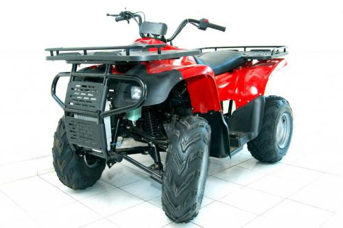 atvs and quad bikes in india, Nebula Gator 250