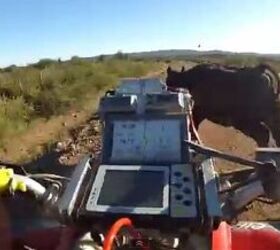 atv vs cow video, ATV Cow Crash