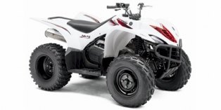 2010 Yamaha Wolverine® 450 Auto 4x4