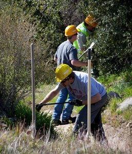 how to help maintain off road trails, ATV Trail Tree Trimming