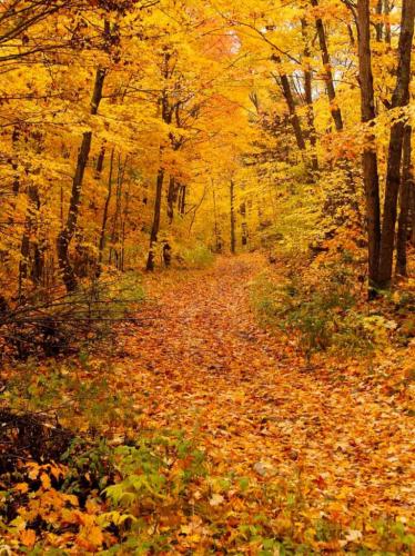 atv trails a fall ride in mattawa video, Fall Colours in Mattawa Ontario