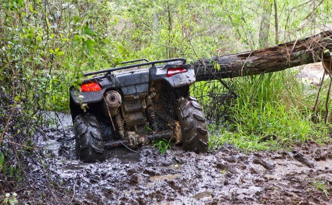 top 10 mud riding pictures, Honda Rincon Stuck