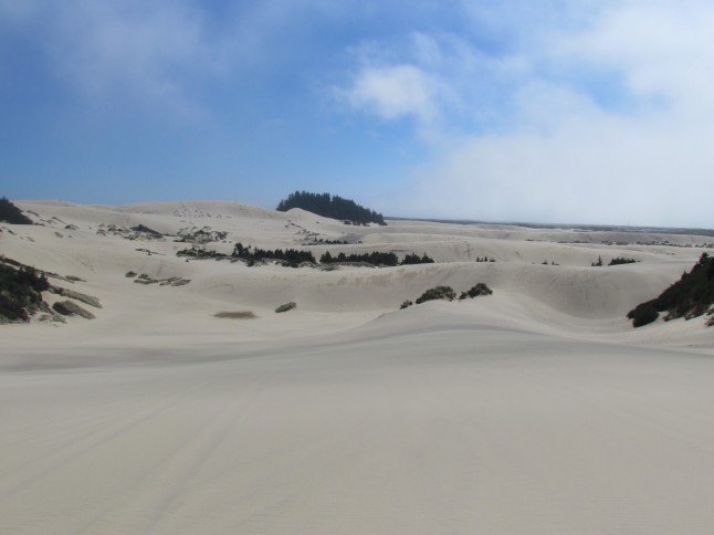 top 10 sand dune riding locations, Oregon Dunes
