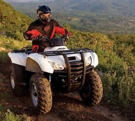 top 10 tips for selling your atv, Honda Rancher Beauty