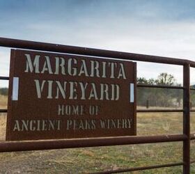 california winery adventure aboard the kawasaki mule pro fxt, Margarita Vineyard