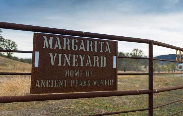 california winery adventure aboard the kawasaki mule pro fxt, Margarita Vineyard