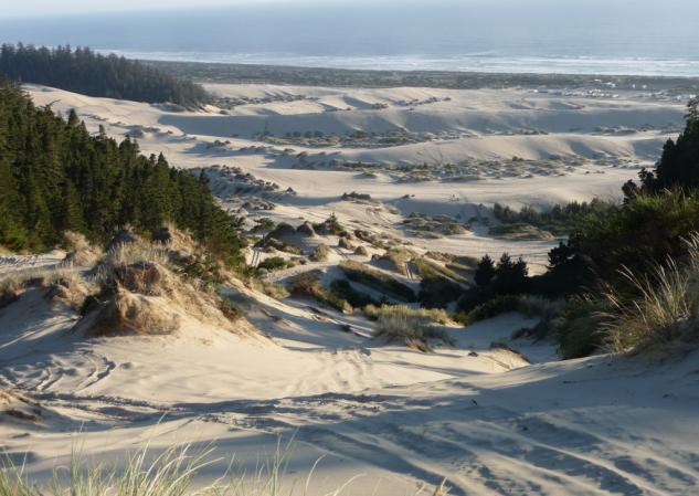 exploring the oregon dunes, Winchester Bay View