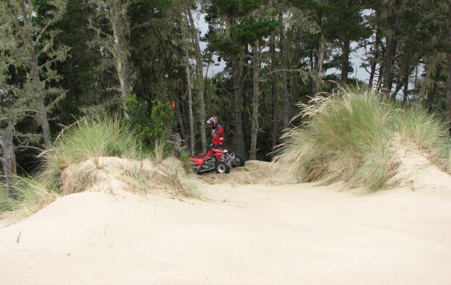 exploring the oregon dunes, Oregon Dunes Coos Bay Shoots 2