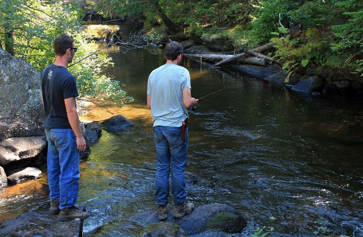 utv riding and trout fishing in ontario, Trailside Stream Mattawa