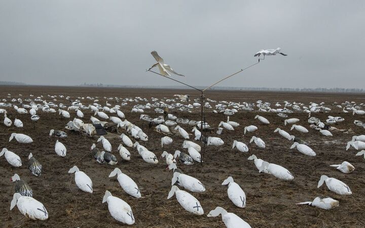 snow goose hunting with a yamaha viking vi, Snow Goose Decoys