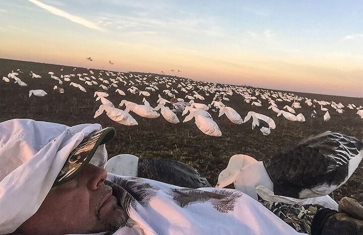 snow goose hunting with a yamaha viking vi, Lying in Wait