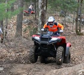 Get a Taste of ATV Riding With a Guided Tour