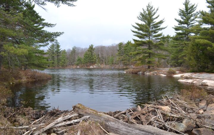 get a taste of atv riding with a guided tour, Trailside Lake