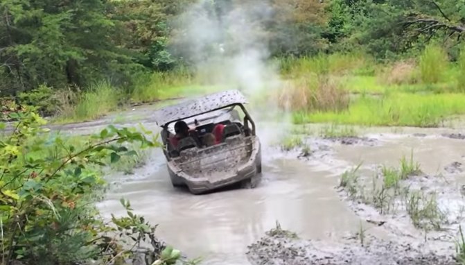 Guy Burry's a Wildcat Trail in 4 Seconds + Video