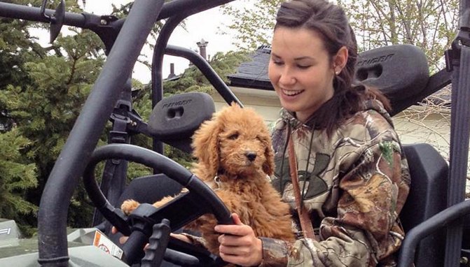 8 Photos of Animals That Love UTVs