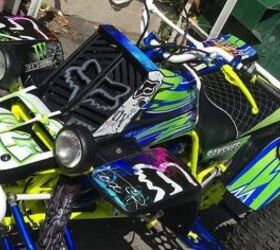 5 Photos That Prove Banshee Owners Are a Colorful Bunch