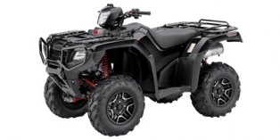 2015 Honda FourTrax Foreman Rubicon 4x4 Automatic DCT EPS Deluxe