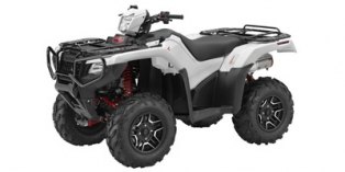 2016 Honda FourTrax Foreman® Rubicon 4x4 Automatic DCT EPS Deluxe