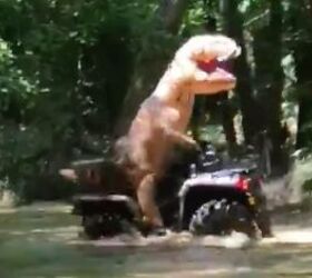 Forget Bigfoot, These Woods Are Inhabited With Dinosaurs + Video