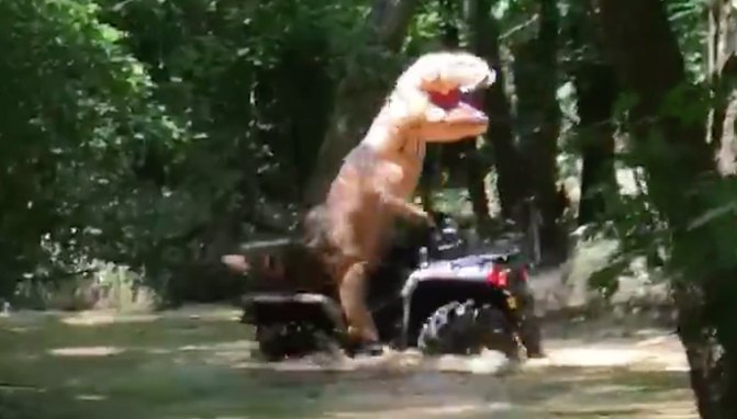 forget bigfoot these woods are inhabited with dinosaurs video